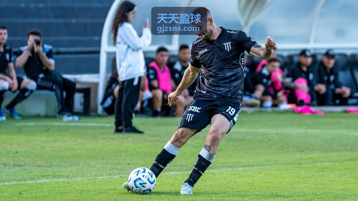 天天盈球赛事数据封面